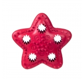 Hviezda na pamlsok červená 12,5 cm