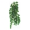 Ficus 50 cm - rastlina do terárií