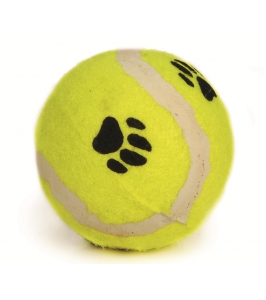 Hračka - tenisová lopta