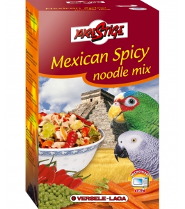 Mexican Spicy Noodle Mix