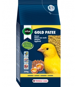 Gold patee yellow