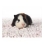 ASAN PET silver podstielka 10l