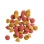 PREMIUM Cat adult Sterilized Chicken kuracie