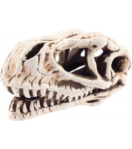 Lebka dinosaura 14cm - dekorácia do akvária