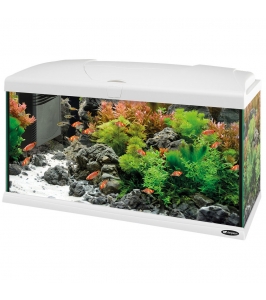 akvárium set CAPRI 80 LED white