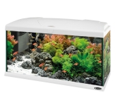 akvárium set CAPRI 80 LED white