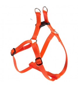 EASY P ORANGE postroj