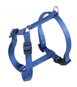 postroj CHAMPION blue P LARGE
