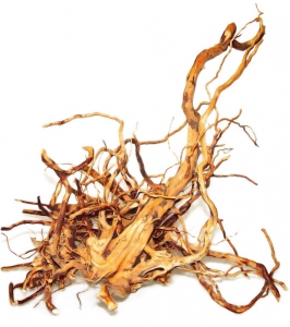 Koreň "FINGER WOOD - XL" 50-60cm - do akvárií a terárií