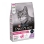 CAT Adult Delicate morka