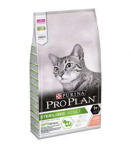 CAT Adult Sterilised losos