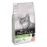CAT Adult Sterilised losos