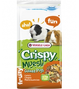 Muesli Guinea Pigs - morča