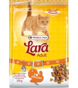 PREMIUM Cat adult Turkey & Chicken - morka, kura