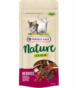 Snack Berries