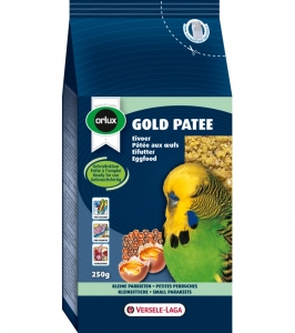 GOLD PATEE small parakeets