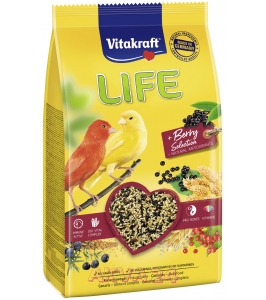 Life pover mix kanárik 800g